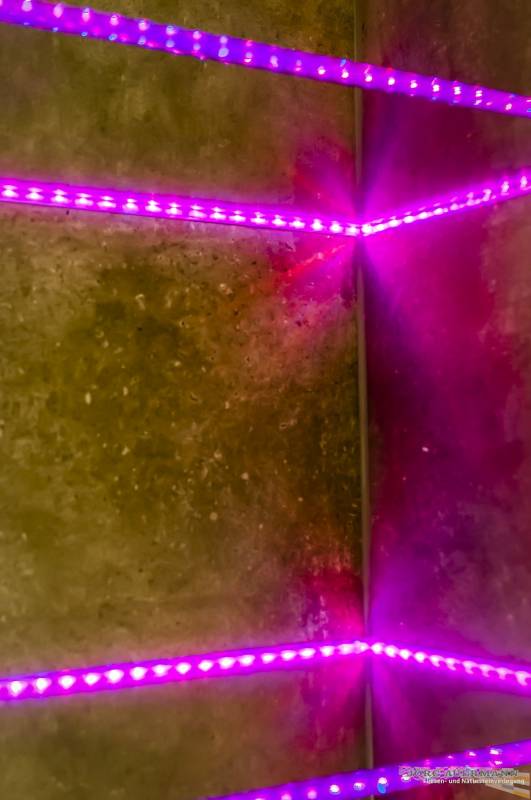 Fliesenverlegung Jörg Auermann